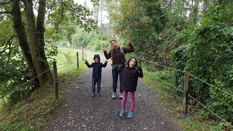 שמורת חיות הפרא האן-סור-לס